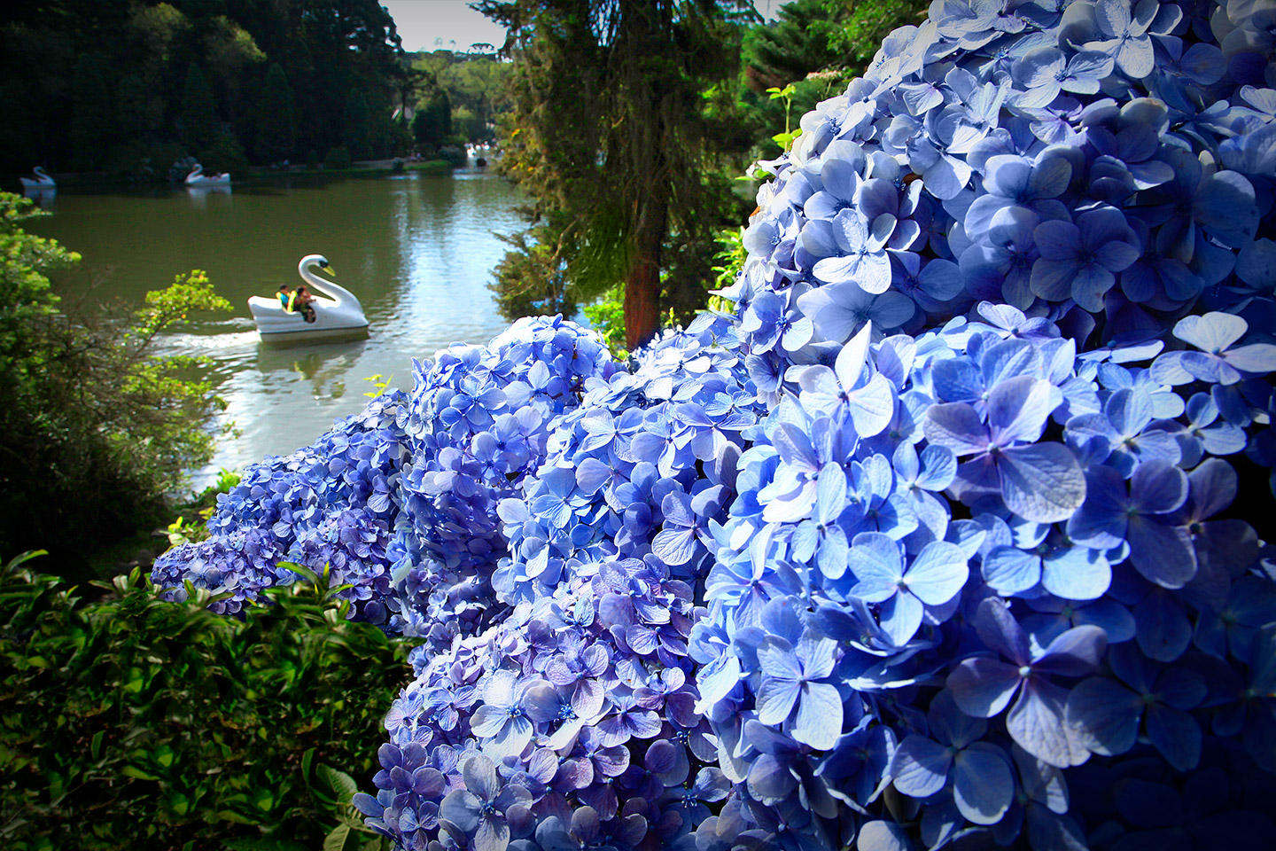 Gramado Inesquecível